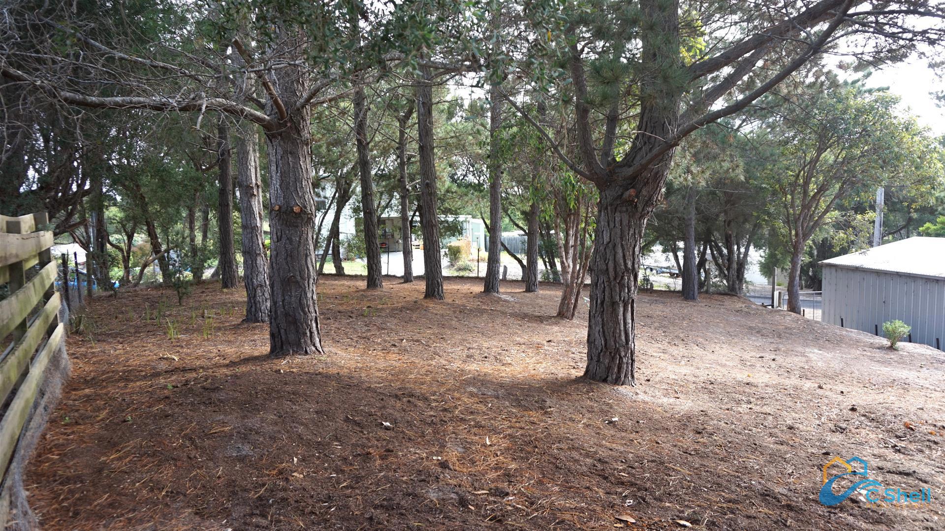 2 Geofrey Avenue Loch Sport, VIC, Loch Sport - Thumbnail 6