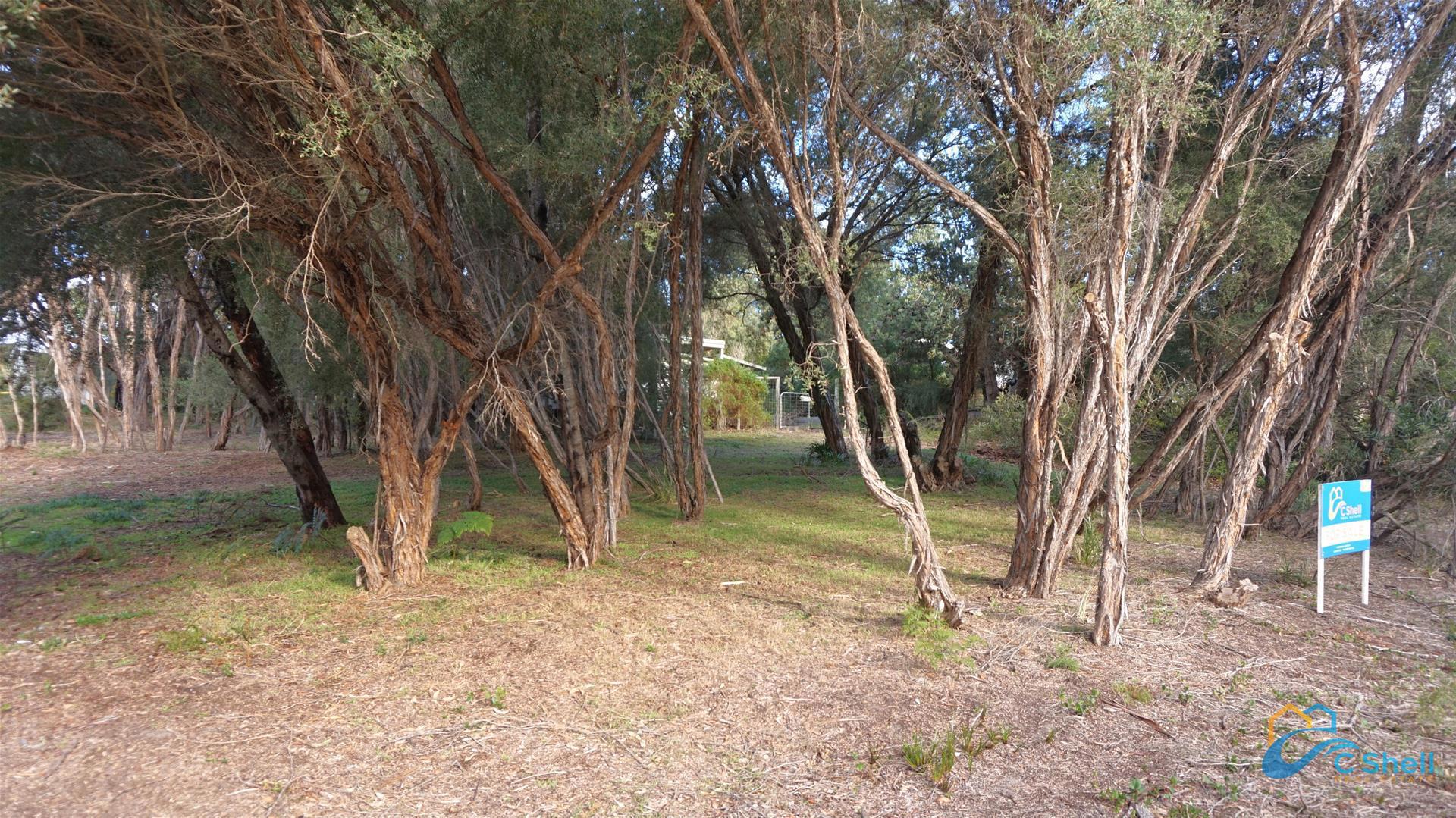 20 Geofrey Avenue Loch Sport, VIC, Loch Sport - Thumbnail 5