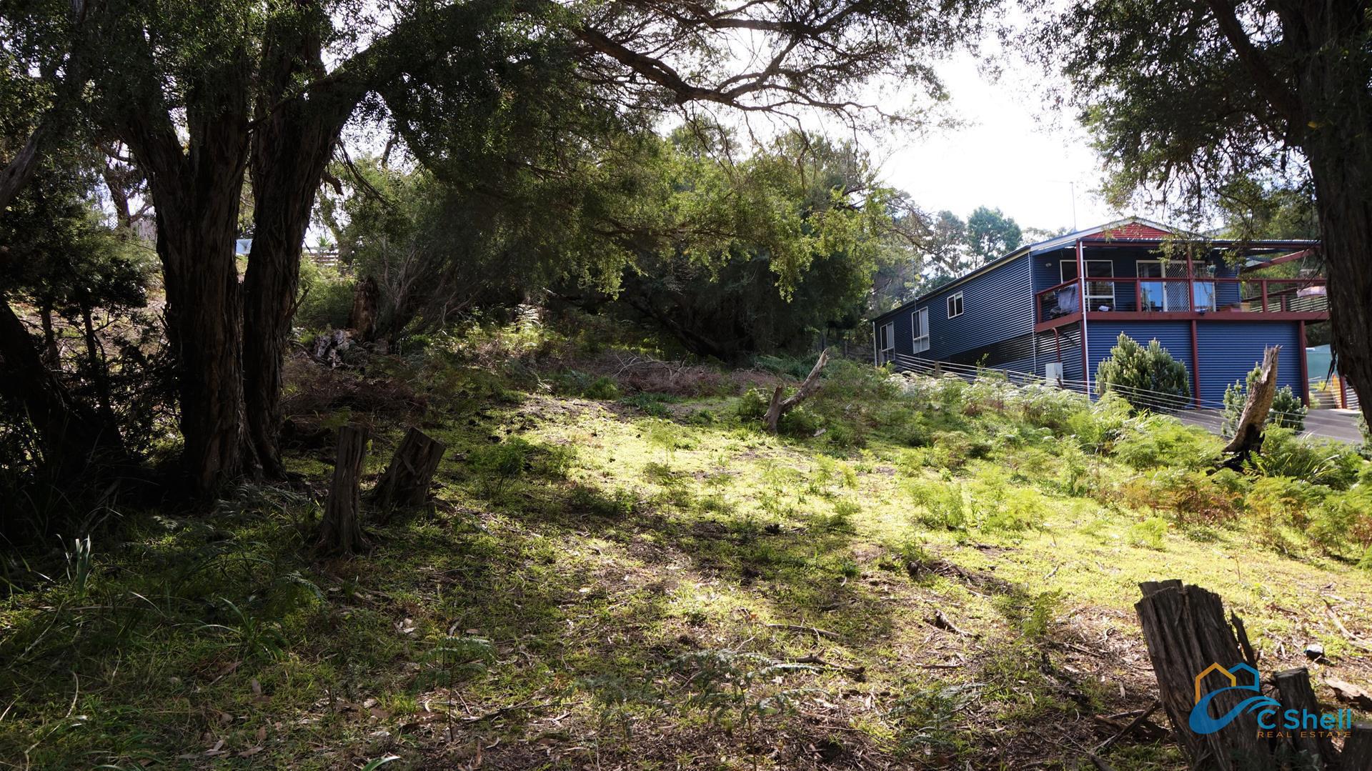 141 Toorak Avenue Loch Sport, VIC, Loch Sport - Thumbnail 5