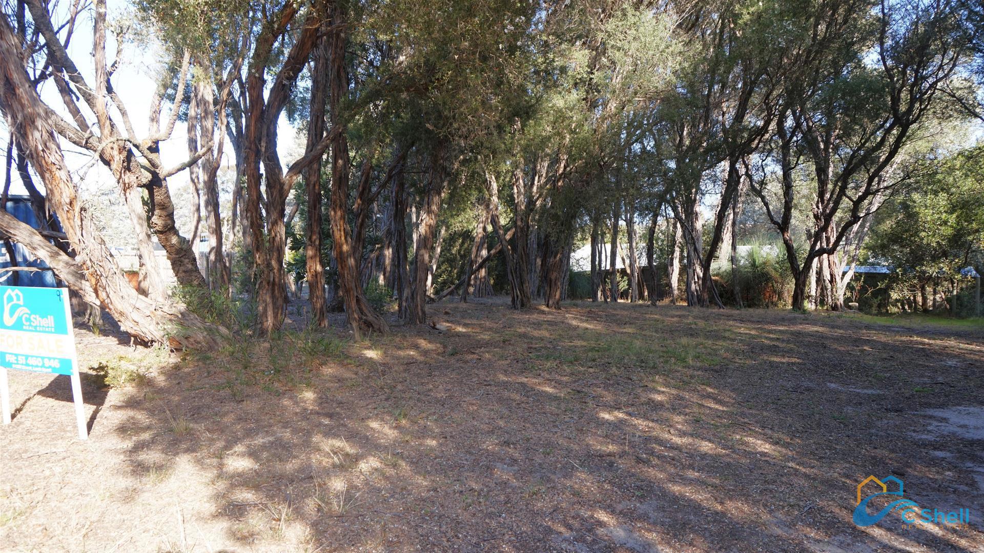 9 Banksia Street Loch Sport, VIC, Loch Sport - Thumbnail 5
