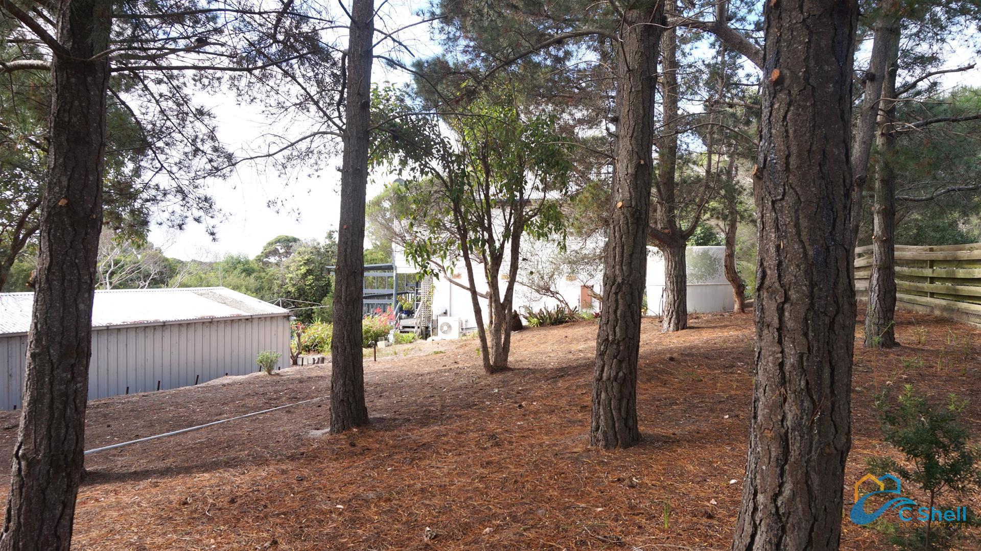 2 Geofrey Avenue Loch Sport, VIC, Loch Sport - Thumbnail 4