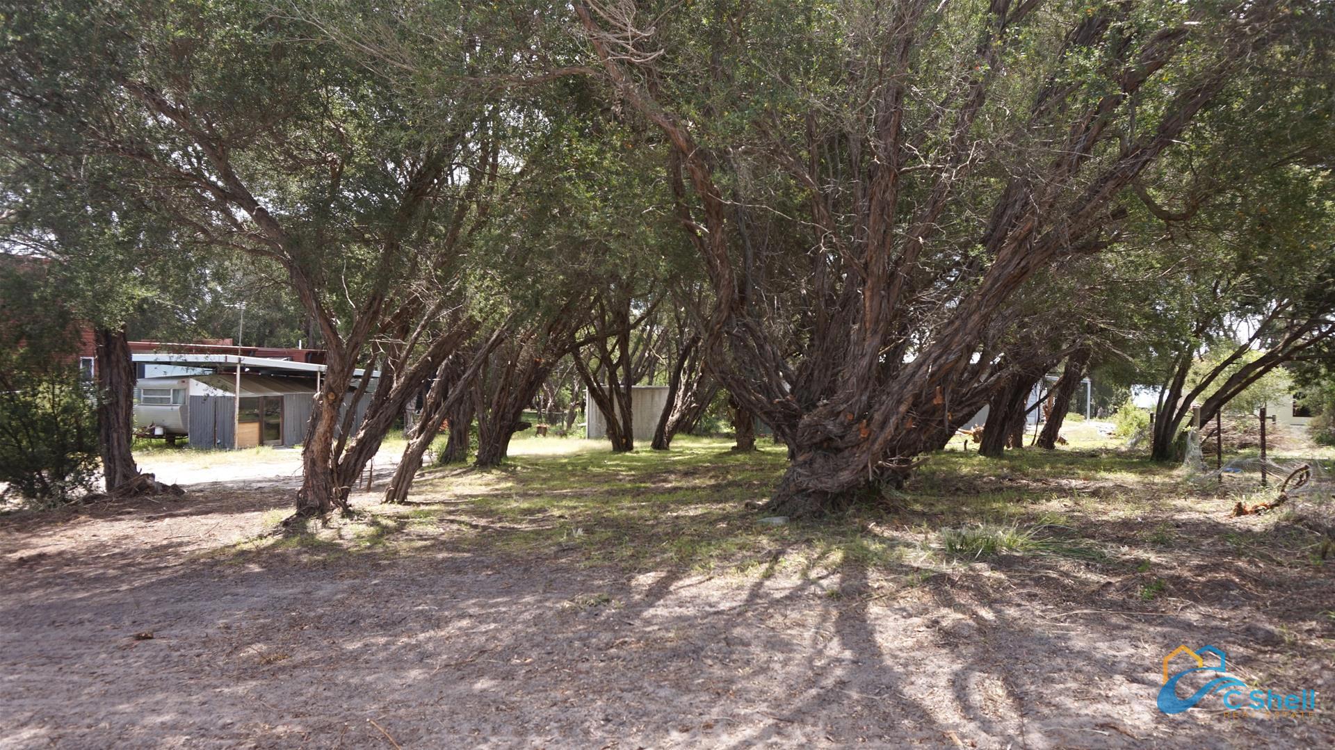 337 National Park Road Loch Sport, VIC, Loch Sport - Thumbnail 2