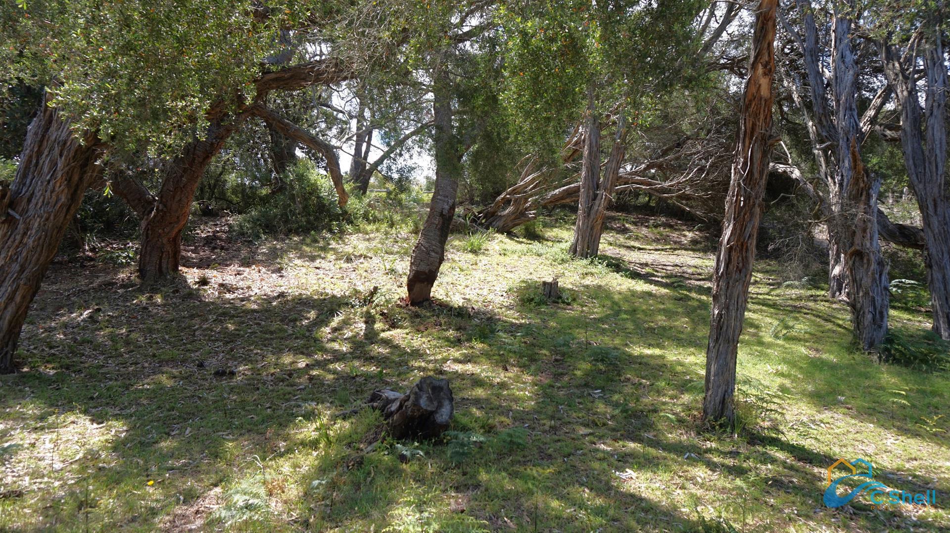 50 Wallaby Street Loch Sport, VIC, Loch Sport - Thumbnail 3