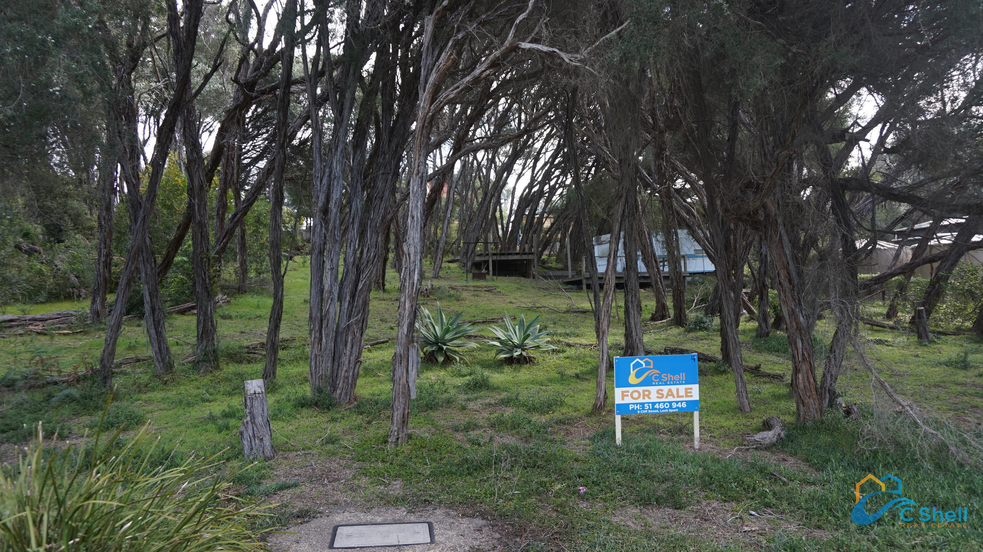 4 Goodlett Avenue Loch Sport, VIC, Loch Sport - Thumbnail 4