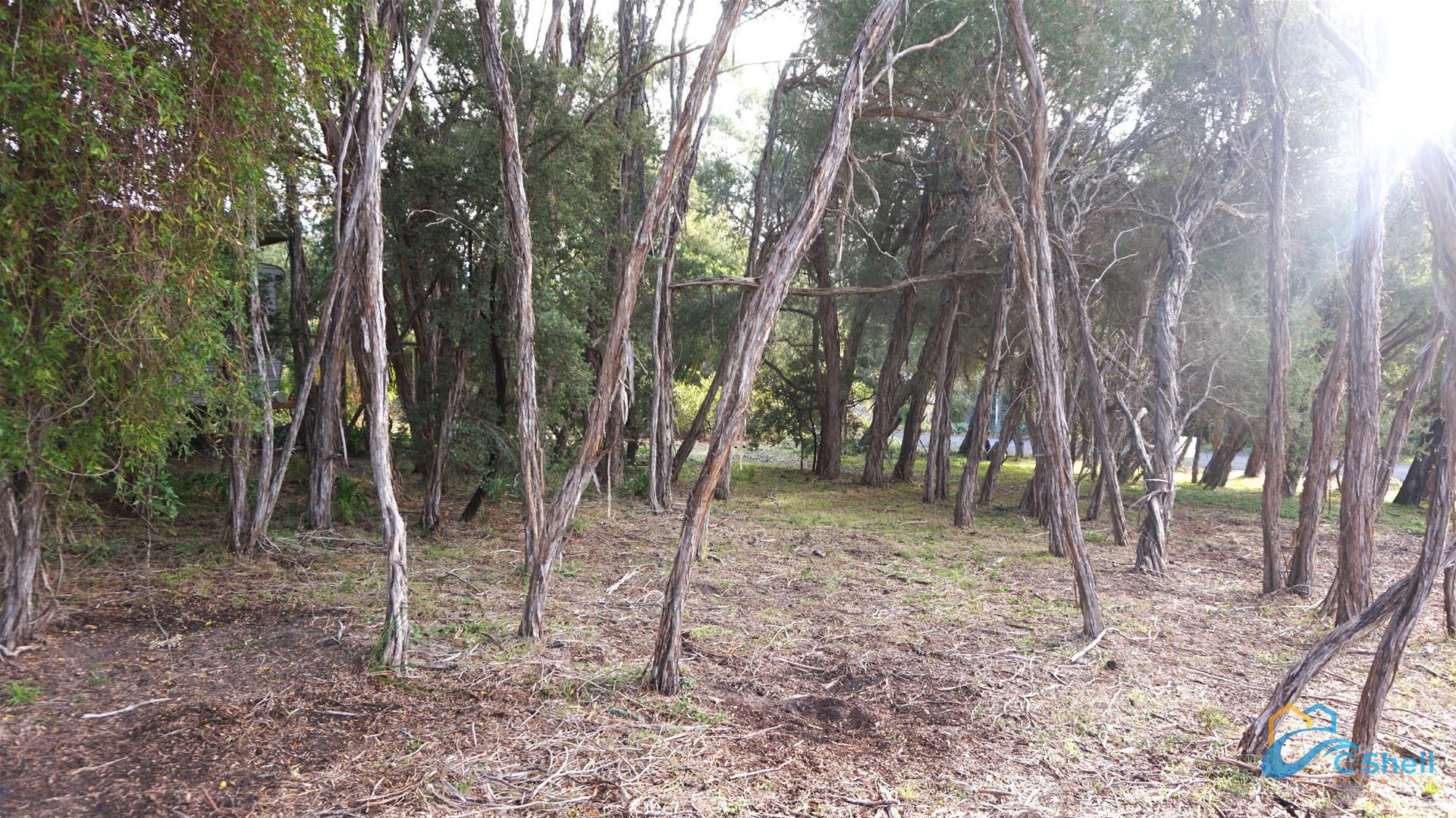 20 Geofrey Avenue Loch Sport, VIC, Loch Sport - Thumbnail 6