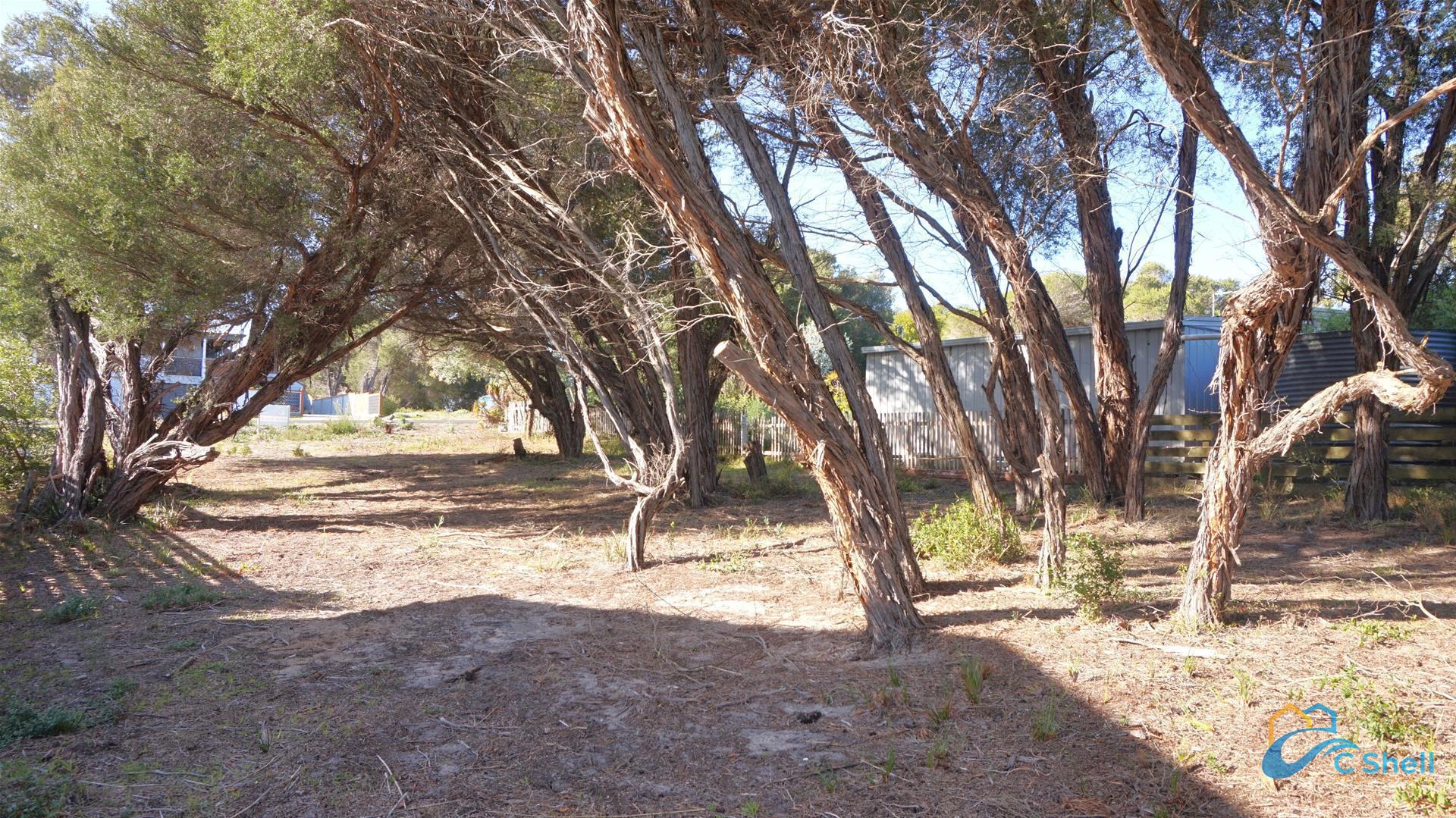 12 Catherine Court Loch Sport, VIC, Loch Sport - Thumbnail 5