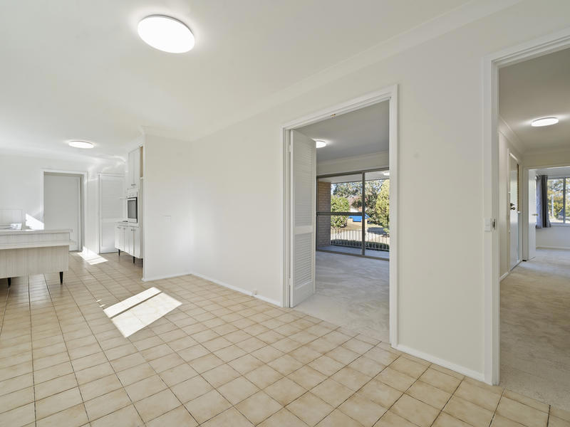 64 Ellison Road, Springwood NSW, Springwood - Thumbnail 7