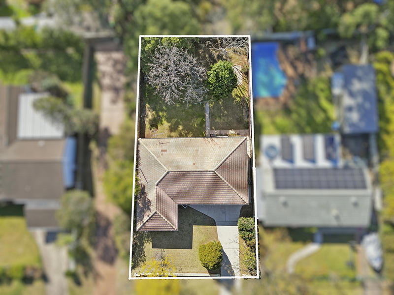 64 Ellison Road, Springwood NSW, Springwood - Thumbnail 4